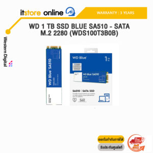 WD 1 TB SSD BLUE SA510 - SATA M.2 2280 (WDS100T3B0B)/ประกัน3y/BY IT STORE