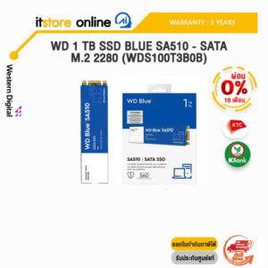 [ผ่อน0% 10ด.]WD 1 TB SSD BLUE SA510 - SATA M.2 2280 (WDS100T3B0B)/ประกัน3y/BY IT STORE