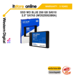 SSD WD BLUE 250 GB SA510 - 2.5" SATA3 (WDS250G3B0A)ประกัน 5 YEARS/BY ITSTORE-ONLINE