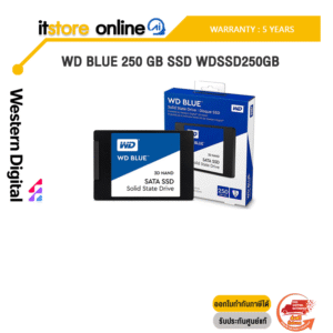 WD BLUE 250 GB SSD WDSSD250GB/ประกัน 5 Years/BY ITSTORE-ONLINE