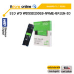 SSD WD WDSSD250GB-NVME-GREEN-3D /ประกัน 3 Years/BY ITSTORE-ONLINE