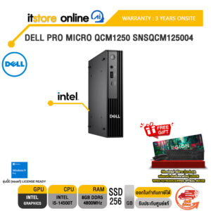 DELL PRO MICRO QCM1250 SNSQCM125004 /i5-14500T/ประกัน 3 Years Onsite/BY ITSTORE-ONLINE