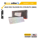 ASUS ROG FALCHION RX LP/RLRD/TH (M603) /ประกัน 2 Years/ITSTORE-ONLINE