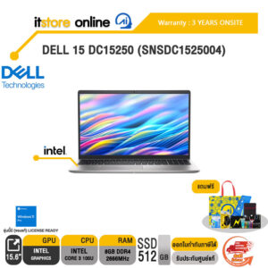 DELL 15 DC15250 (SNSDC1525004) /Core 3 100U/ประกัน 3 Years Onsite/BY ITSTORE-ONLINE